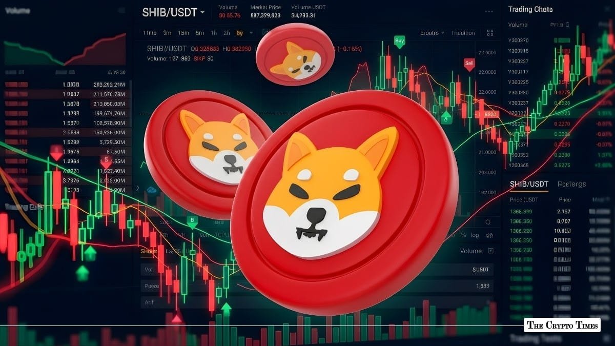 Shiba Inu Netflow Bullish: What SHIB Data Really Says